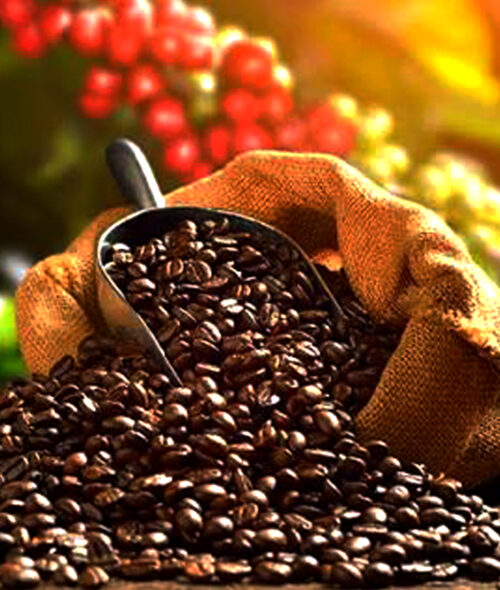 Ruta del café